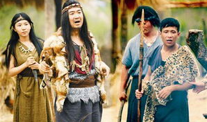 小说讲娱乐圈,娱乐圈风云录